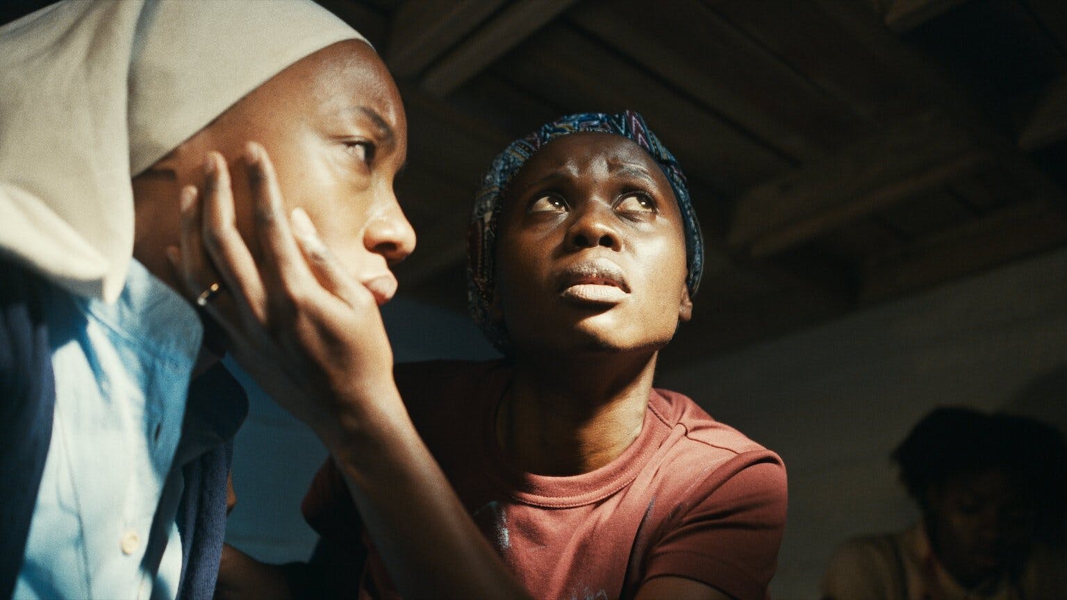 Árvores da Paz backdrop