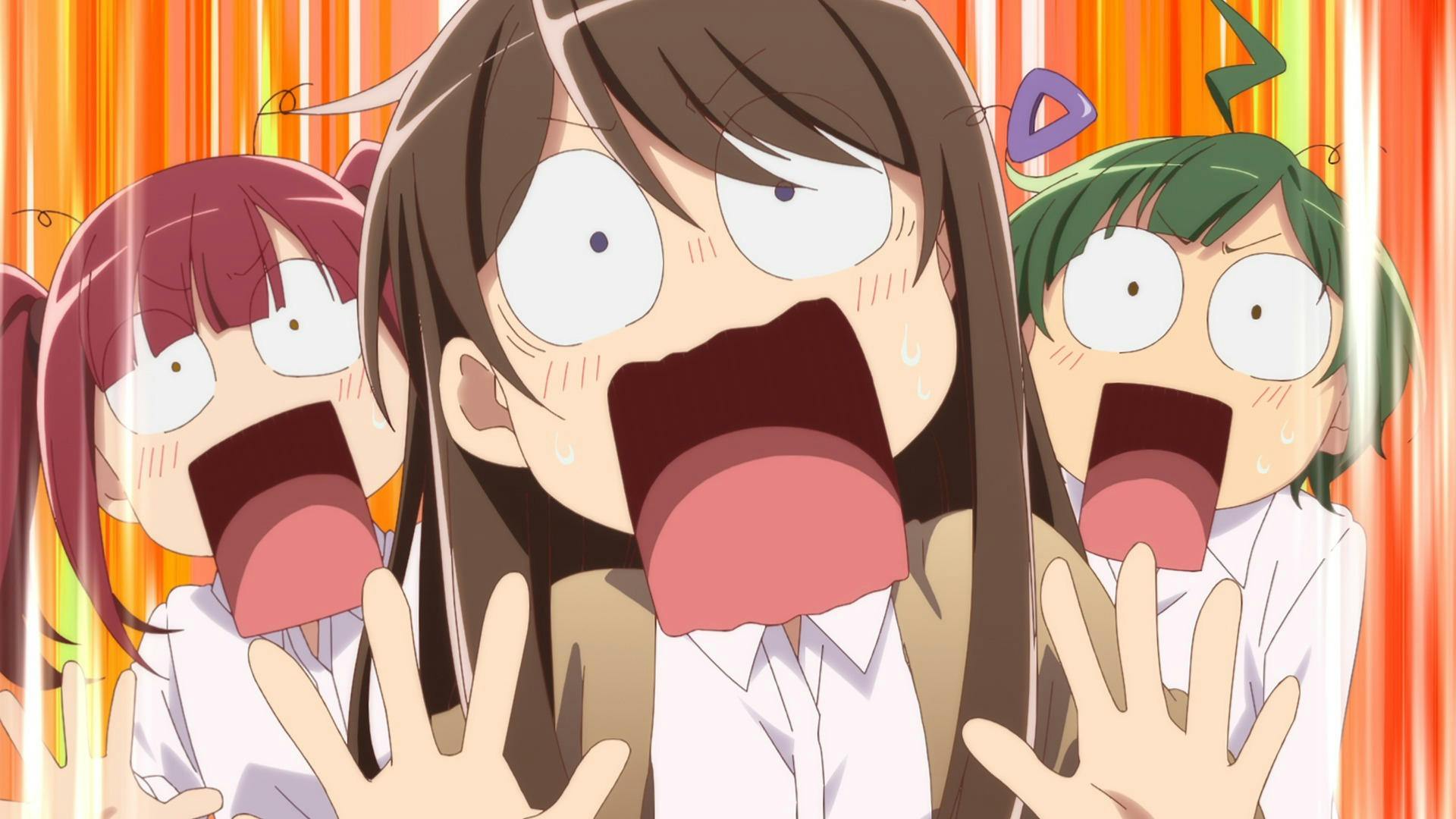 Hitoribocchi no Isekai Kouryaku - episódio 1x12