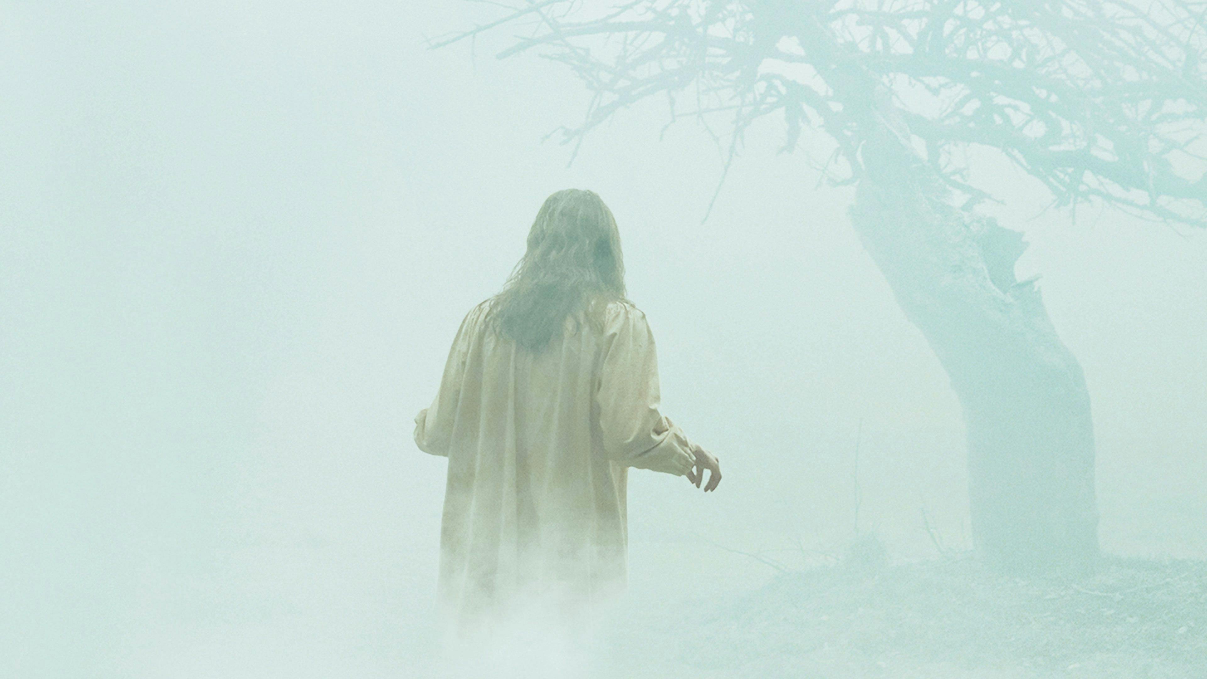 O Exorcismo de Emily Rose backdrop