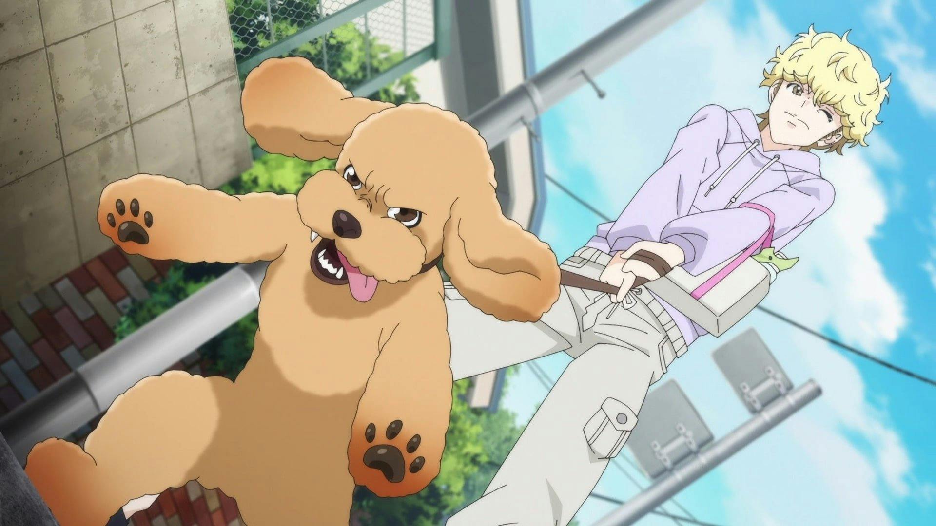 Dog Signal - episódio 1x1
