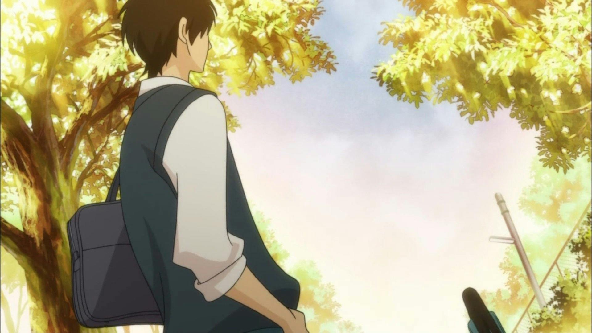 Que Chegue a Você: Kimi ni Todoke - episódio 1x16