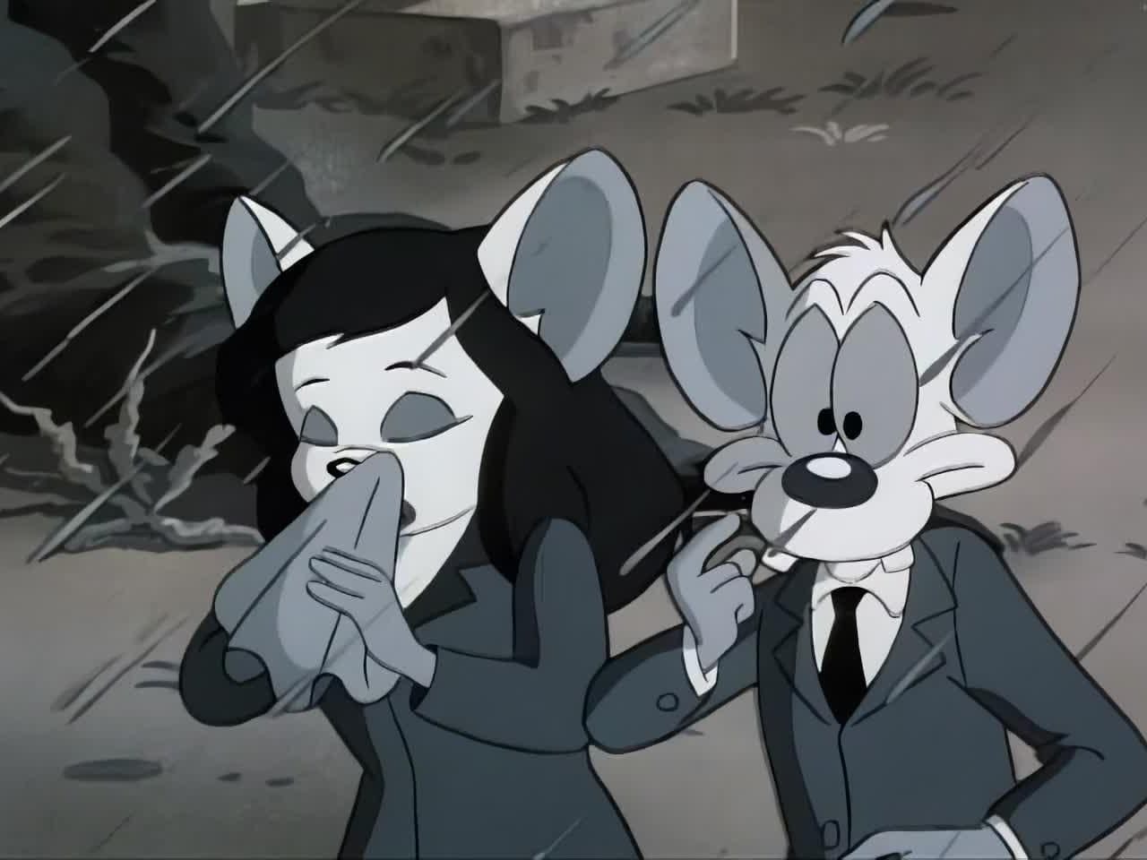 Pinky e o Cérebro