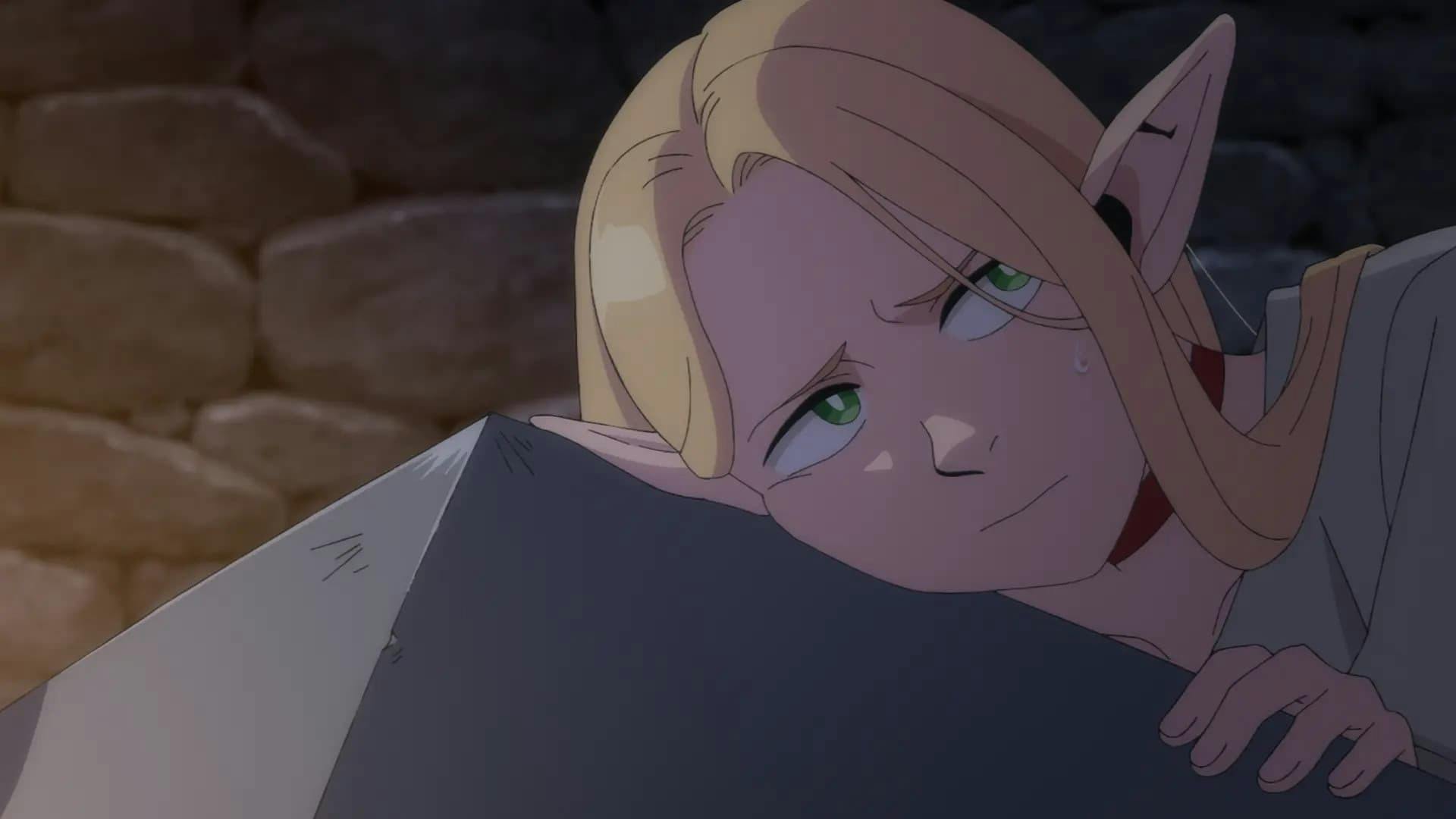 Dungeon Meshi - episódio 1x8