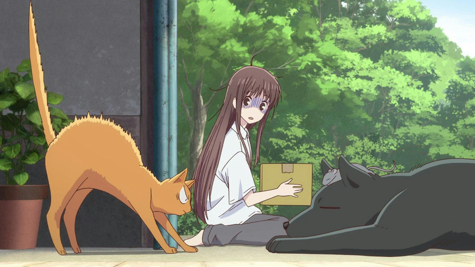 Fruits Basket - episódio 1x2