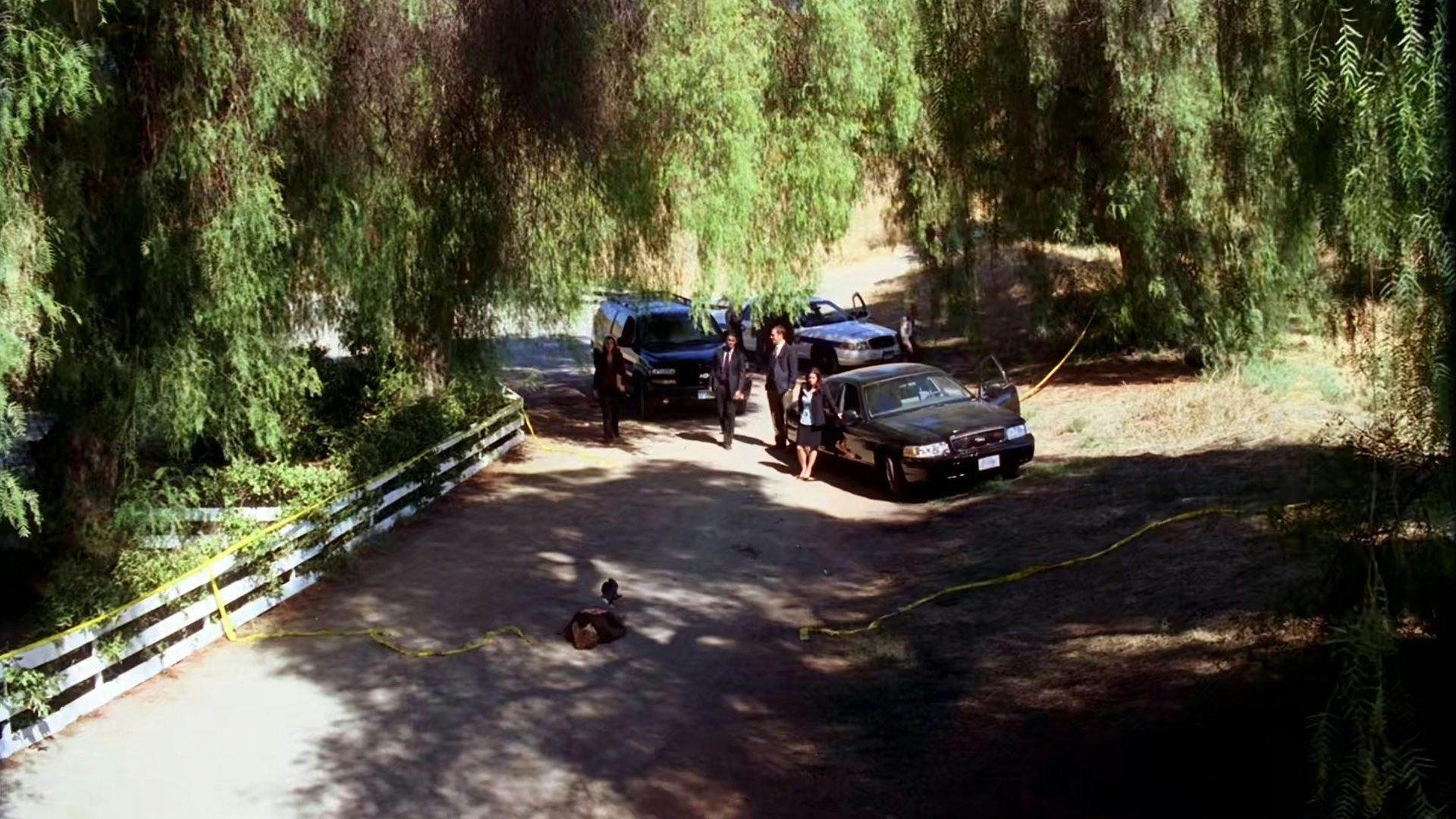 Mentes Criminosas - episódio 1x5