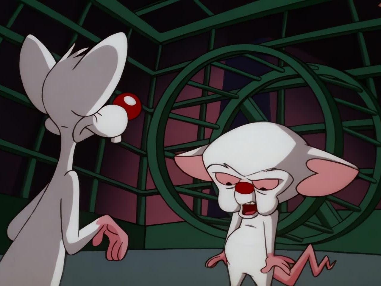 Pinky e o Cérebro