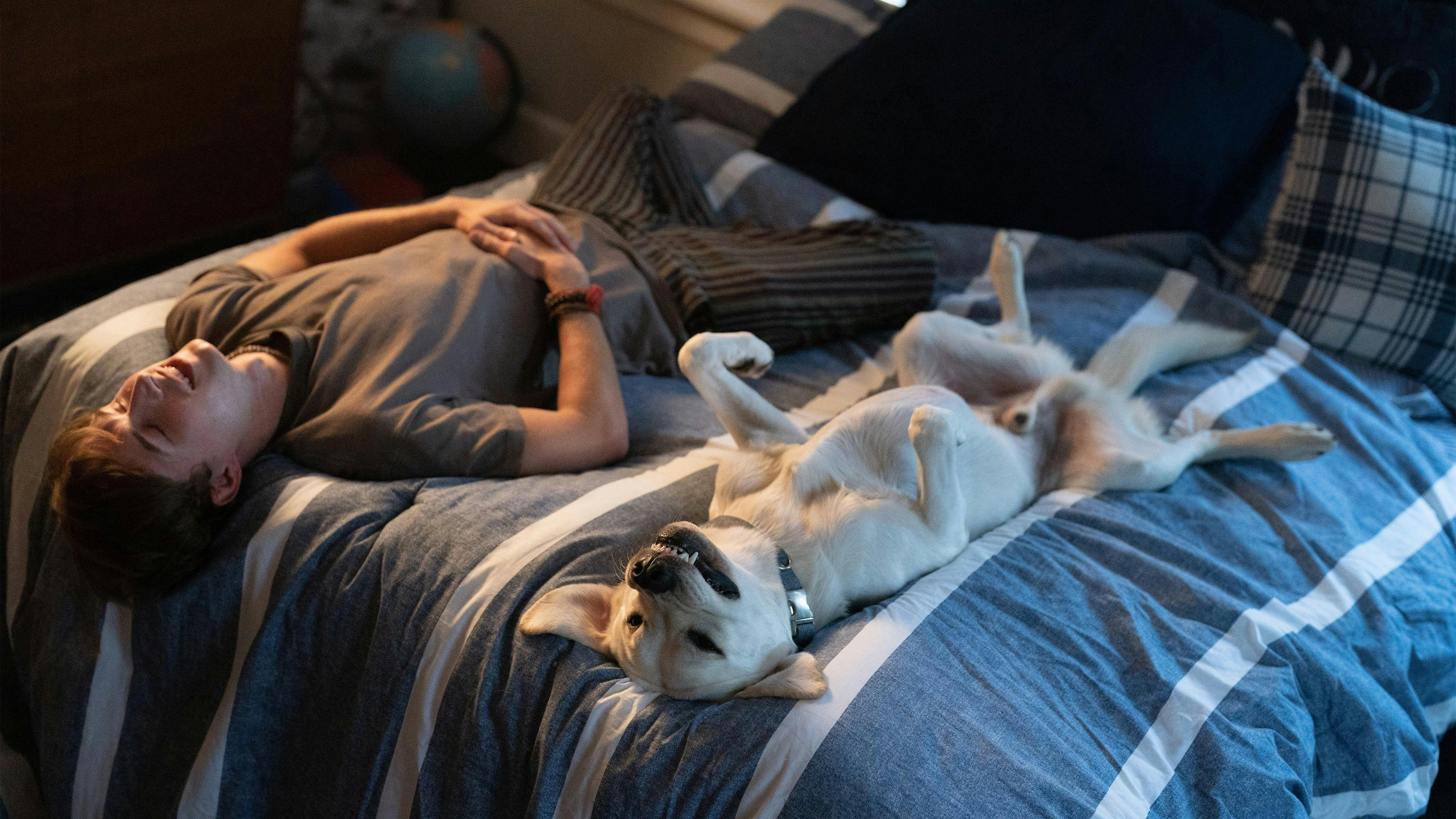 Procura-se Gonker backdrop