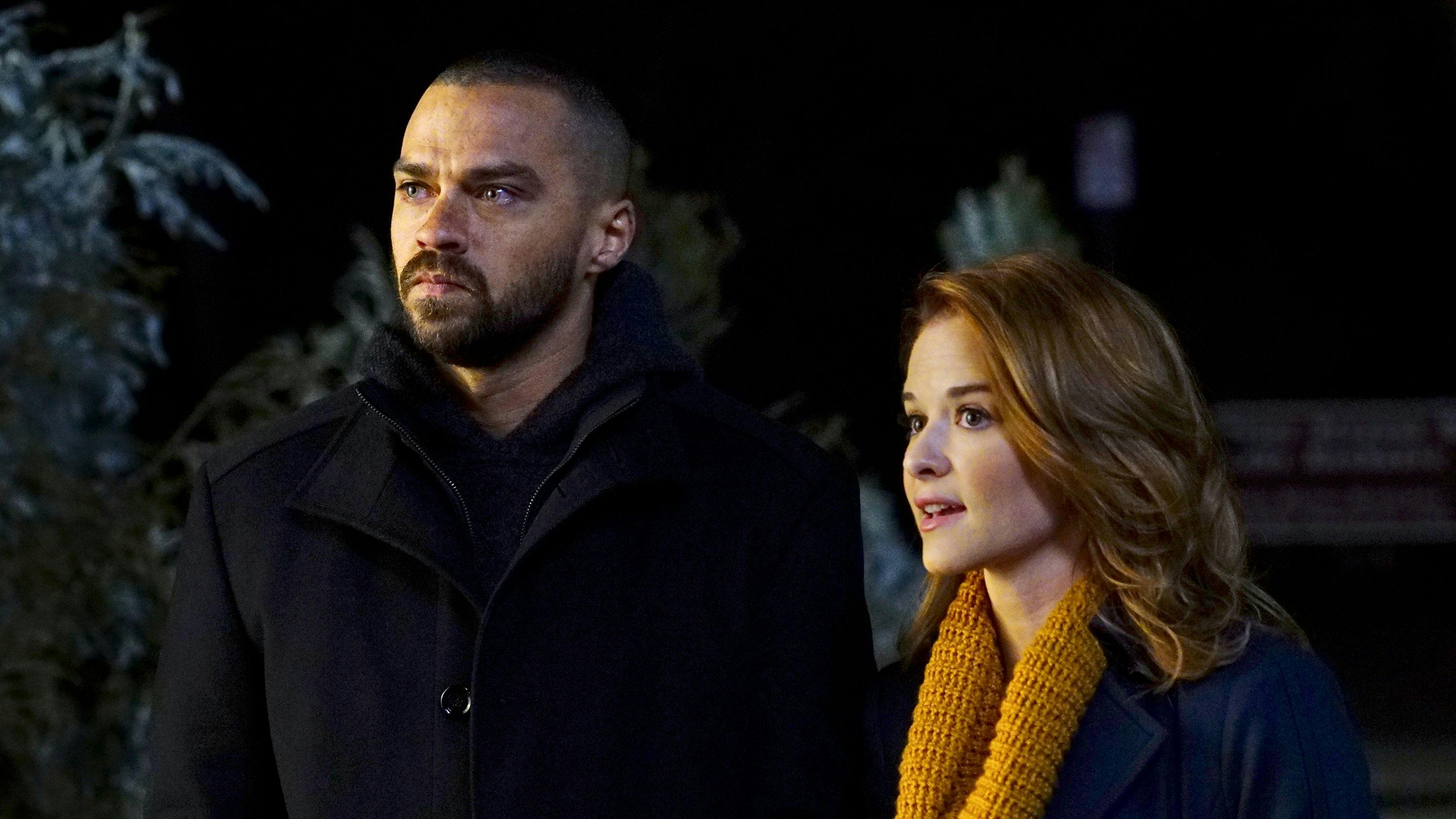 Grey's Anatomy - episódio 13x16