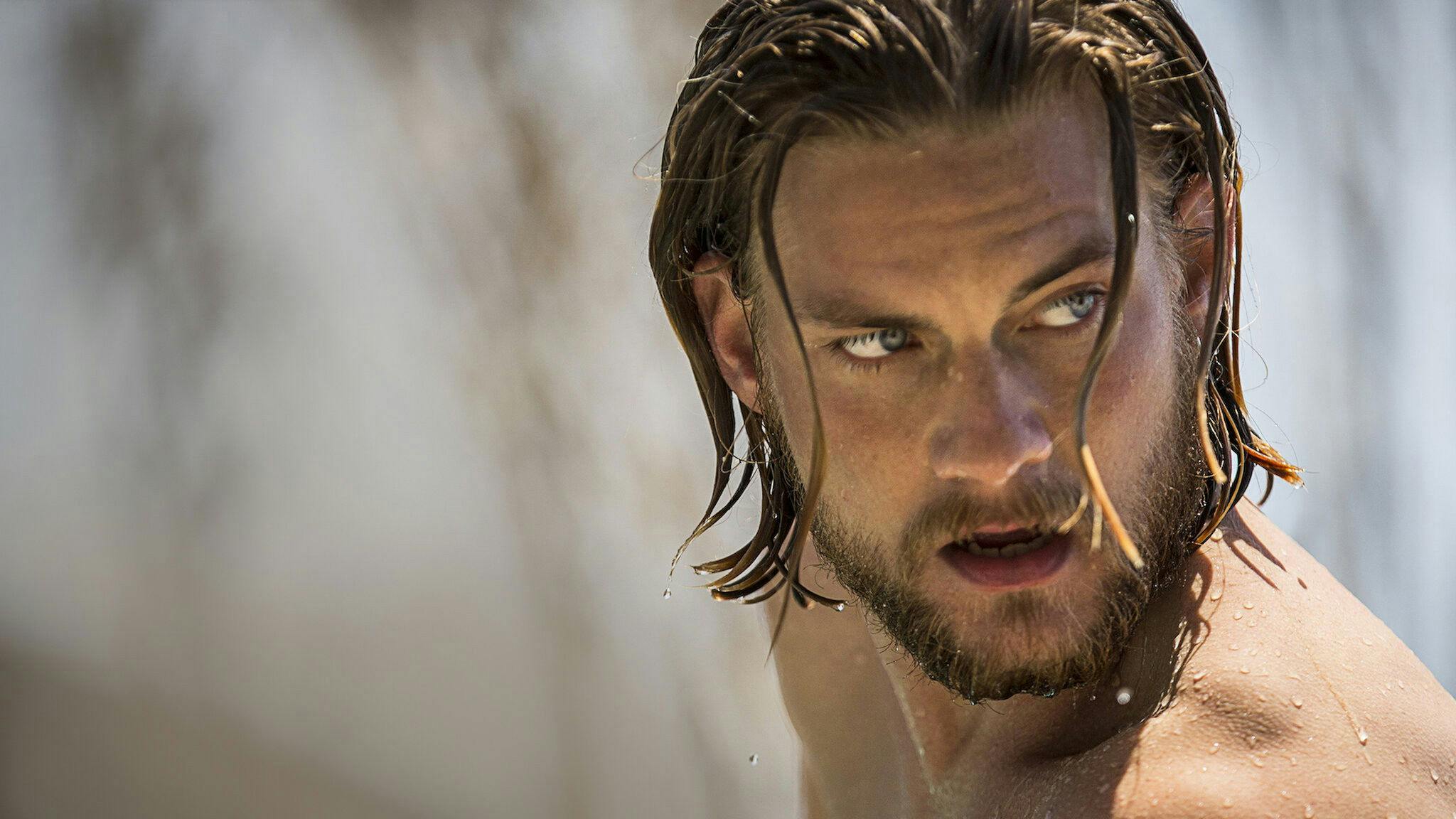 Animal Kingdom - episódio 1x5