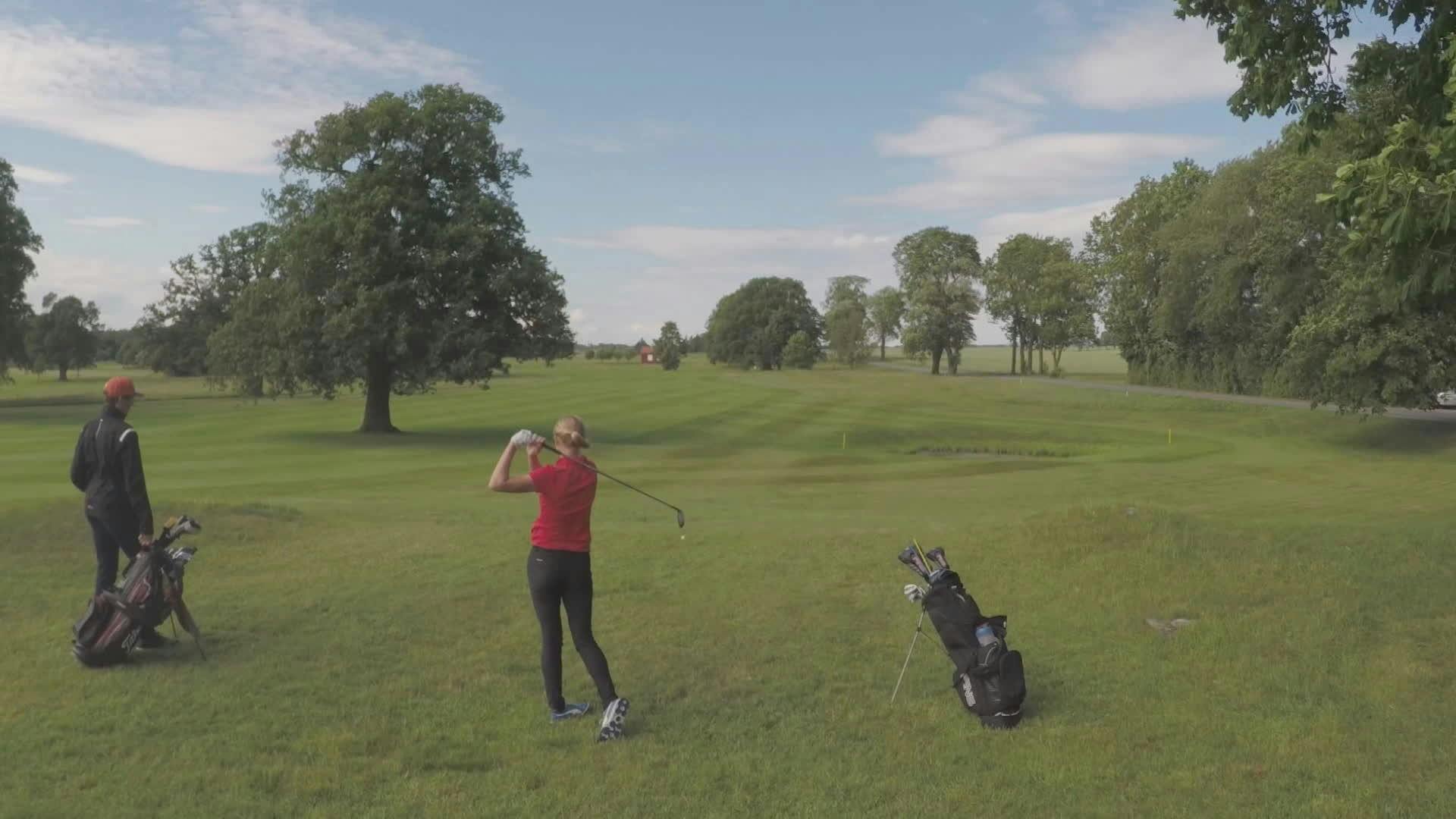 Guerra Entre Vizinhos backdrop