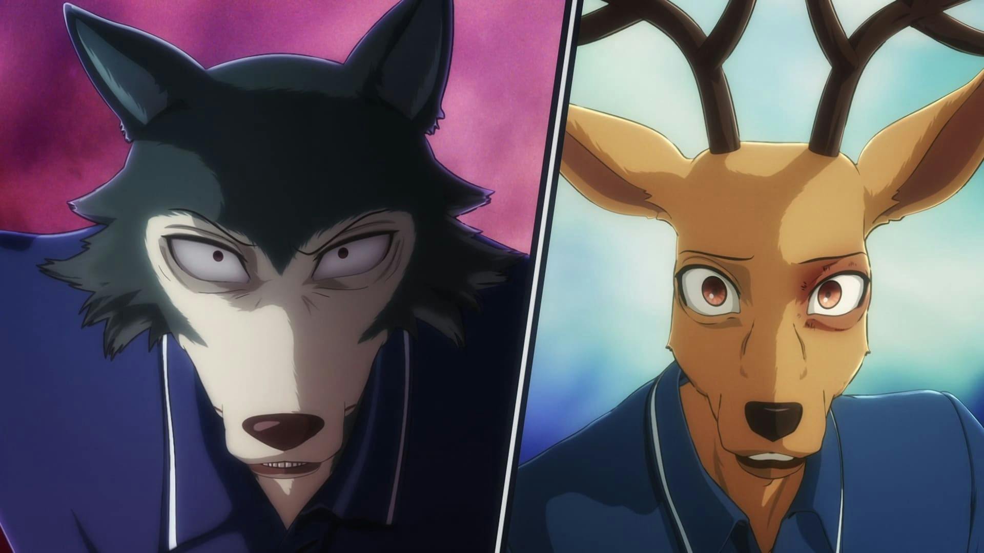 BEASTARS - O Lobo Bom - episódio 1x9
