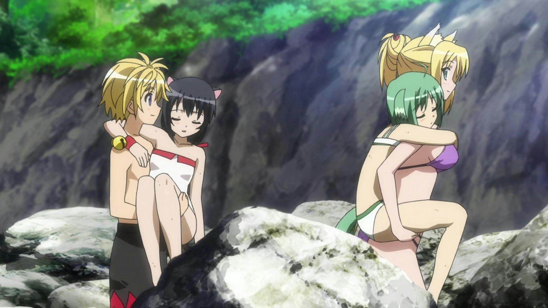 Dog Days