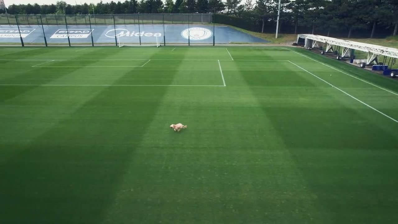 Unidos: Manchester City Tricampeão - episódio 1x5