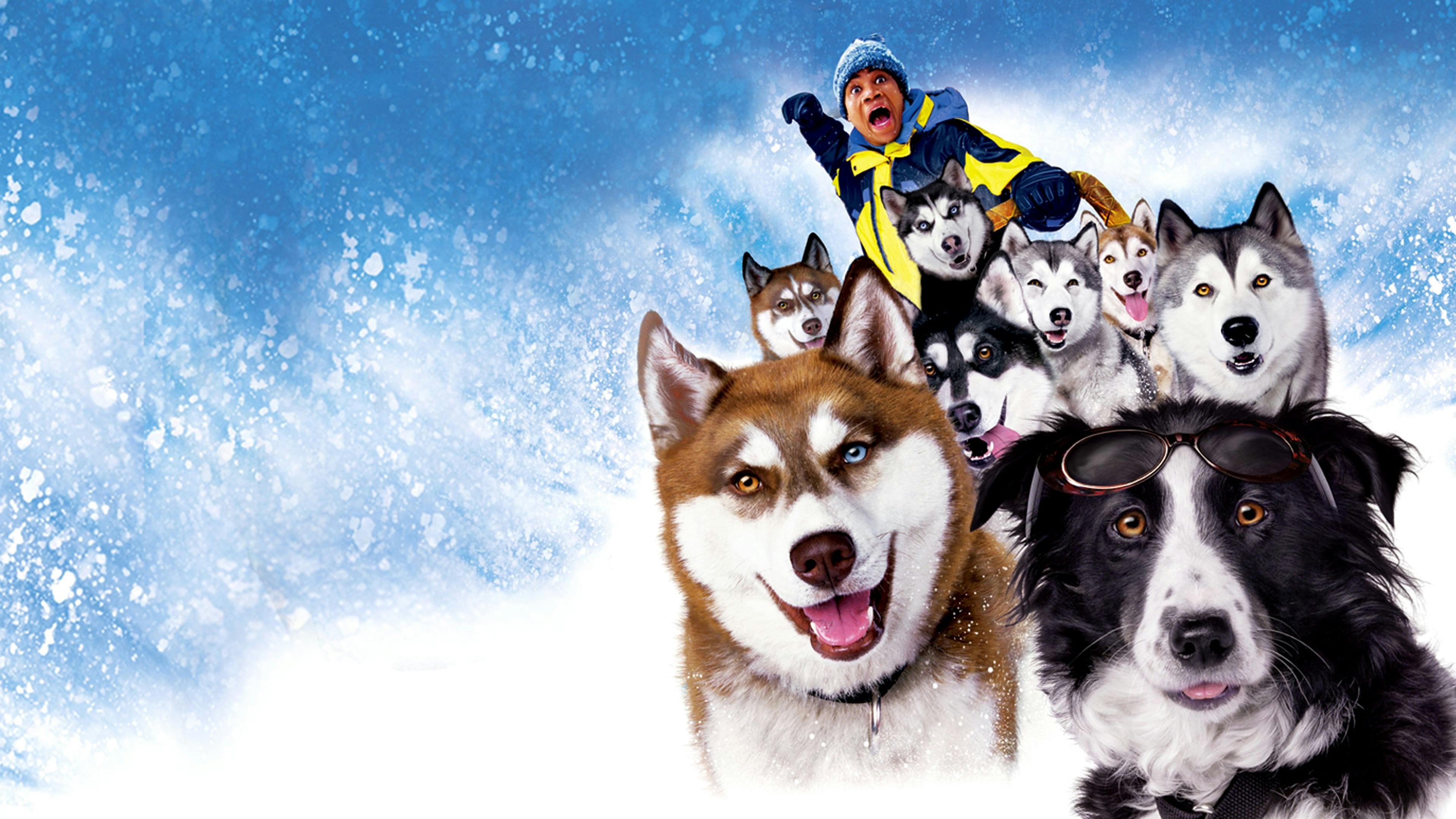Neve pra Cachorro backdrop