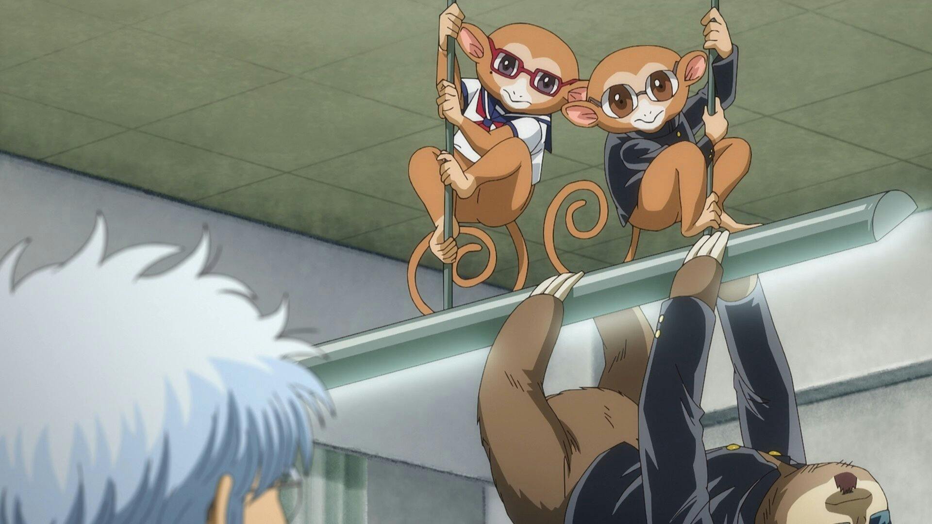 Gintama: Mr. Ginpachi's Zany Class - episódio 1x2