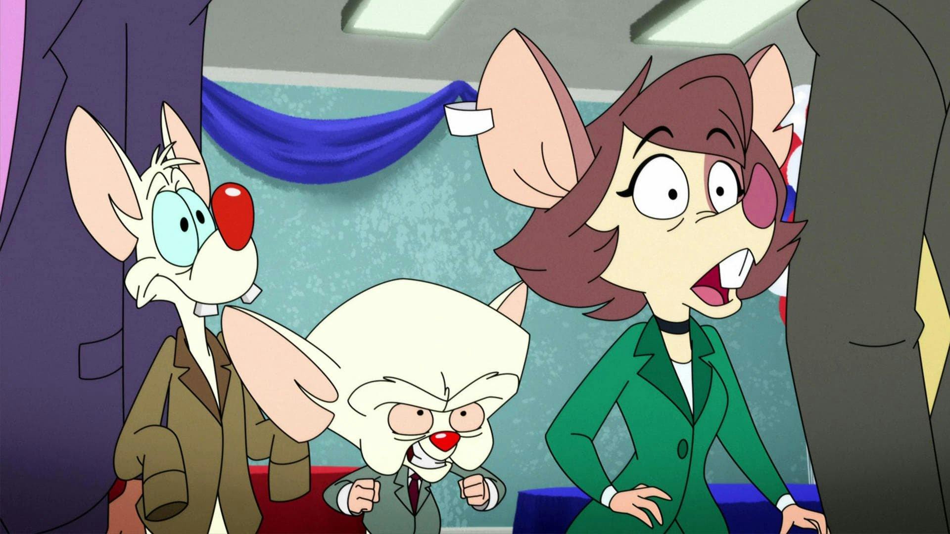Animaniacs - episódio 1x24