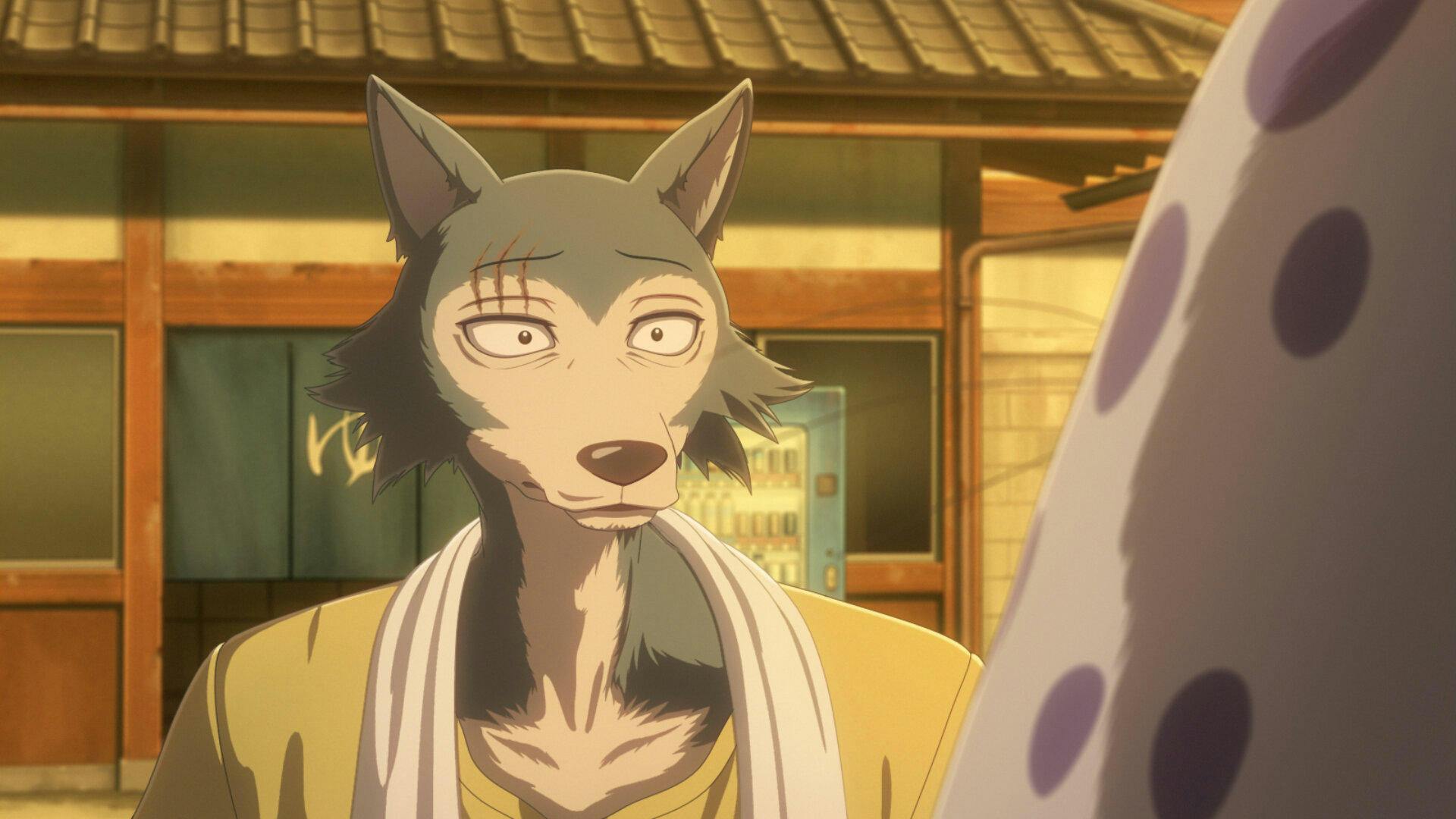 BEASTARS - O Lobo Bom - episódio 3x11