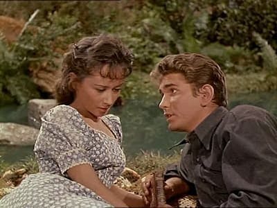 Bonanza - episódio 1x11