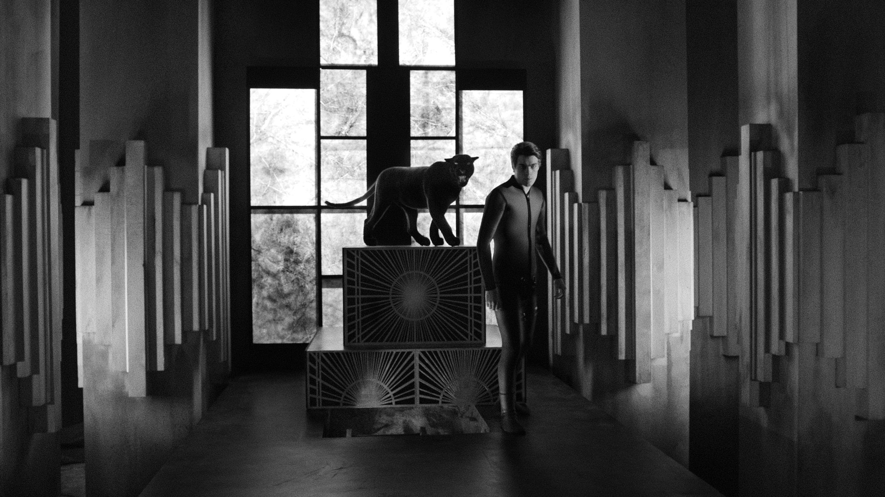 Diabolik chi sei? backdrop