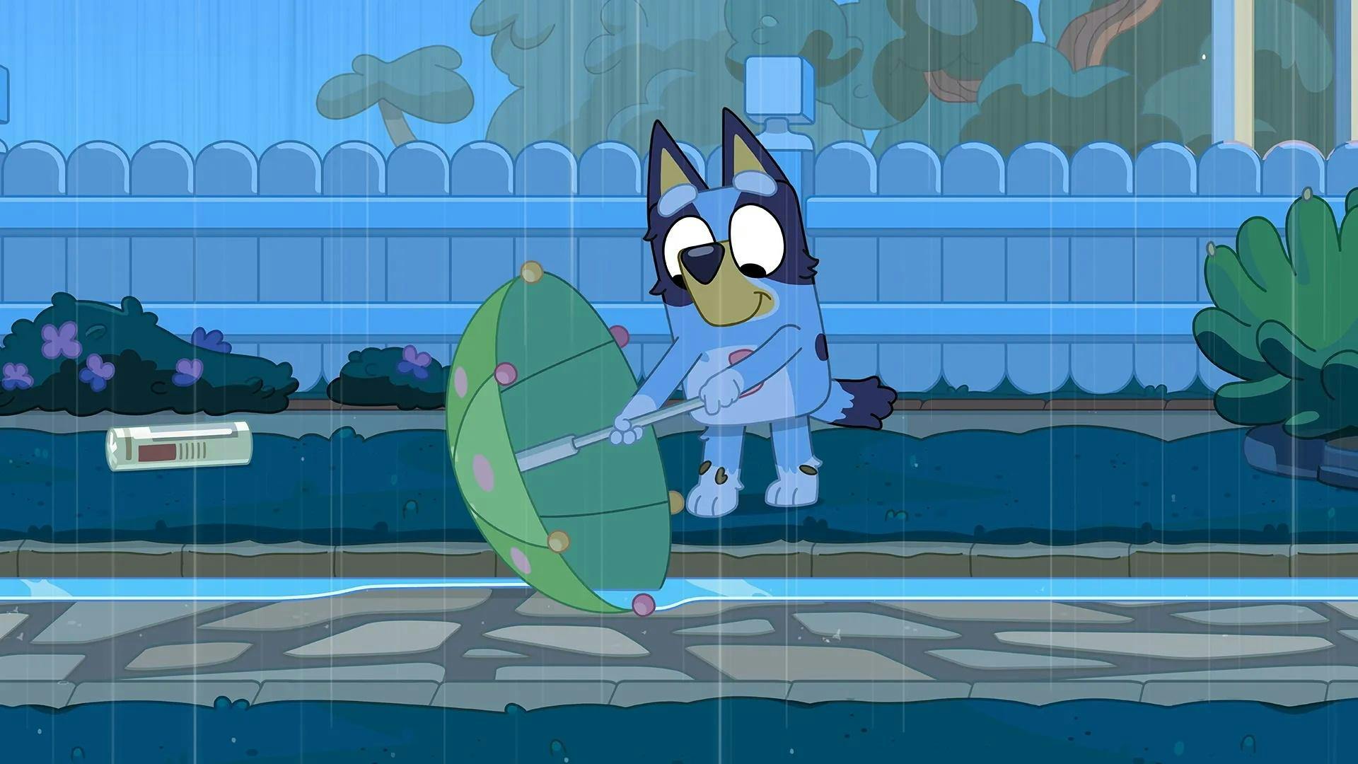 Bluey