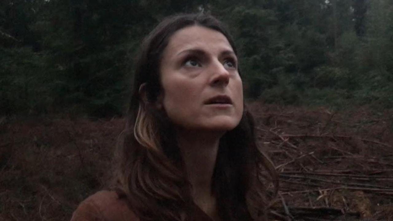 Evil in the Woods backdrop