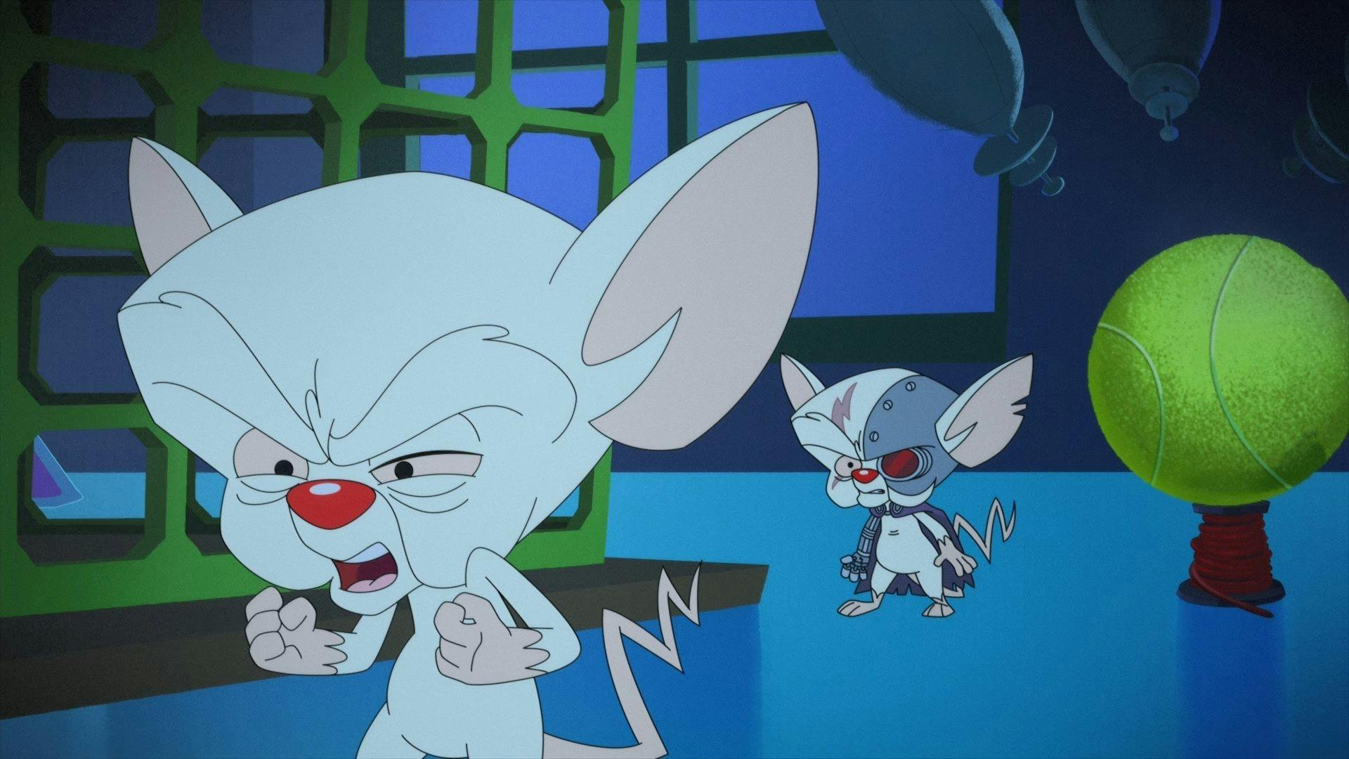 Animaniacs - episódio 1x28