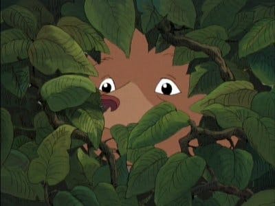 O Pequeno Urso - episódio 1x2