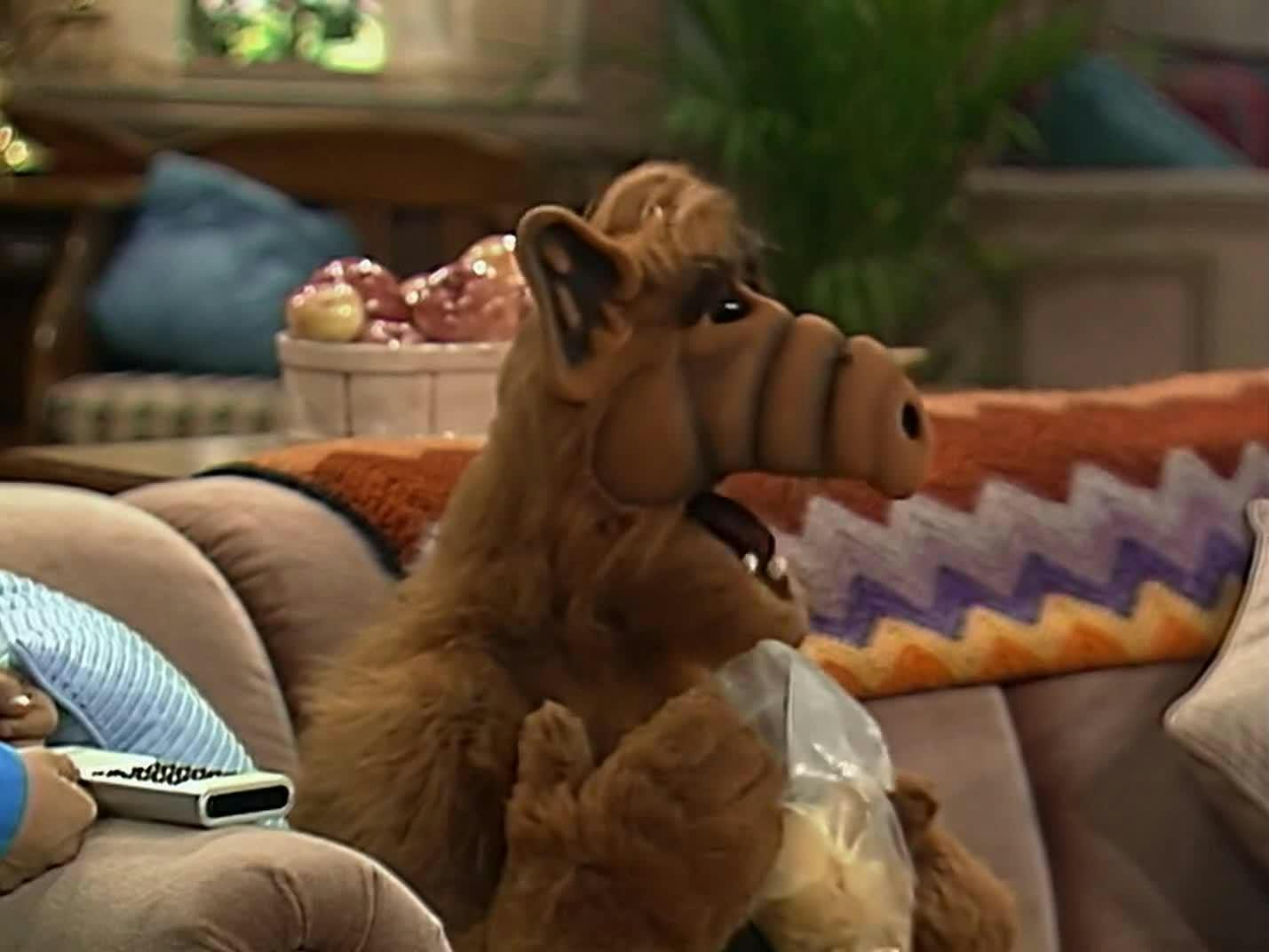 ALF, o ETeimoso - episódio 1x21