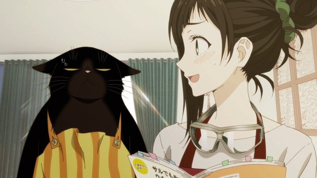 O Gato Prendado é Bom em Cuidar