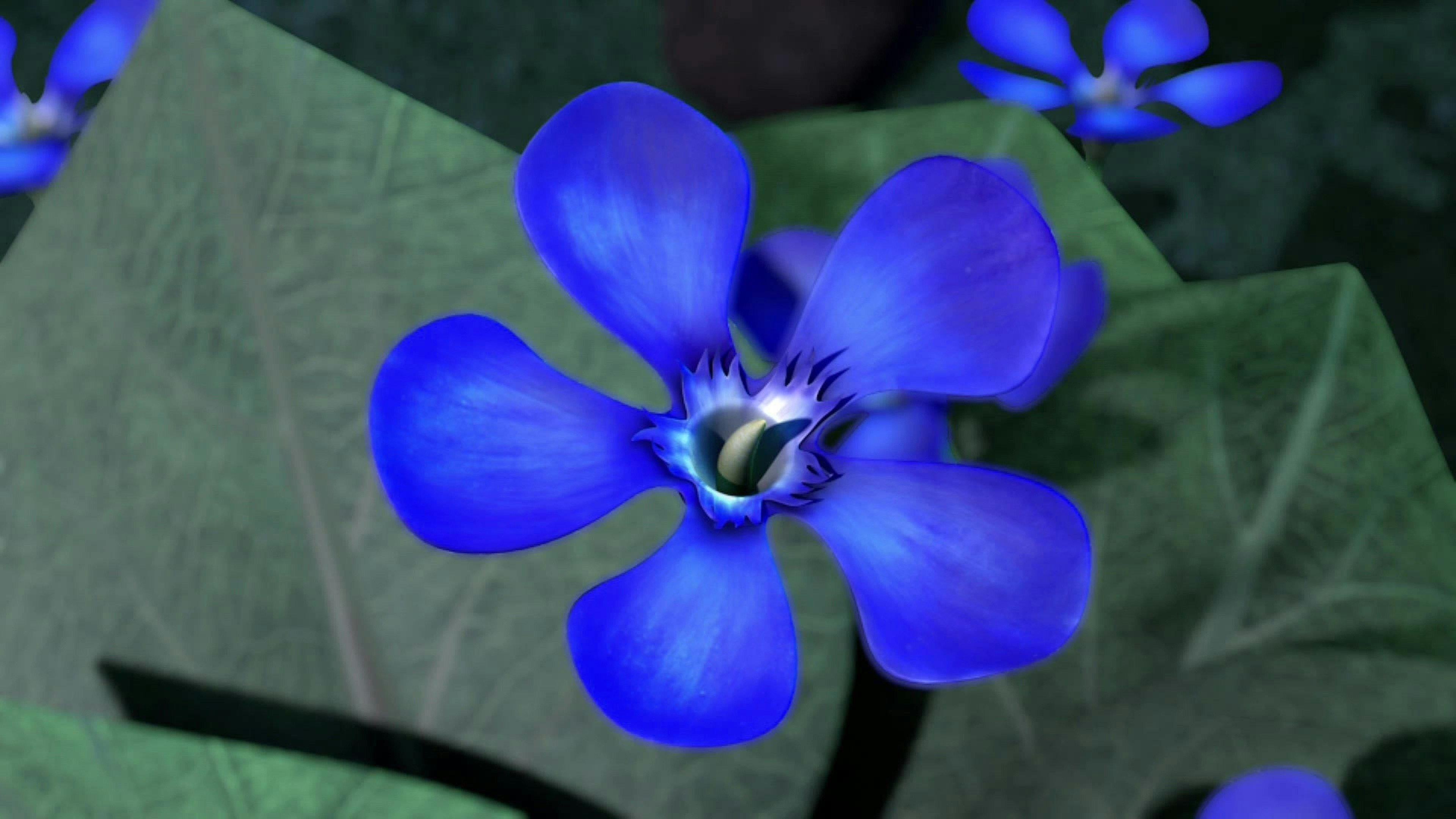 Dragões: A Série backdrop