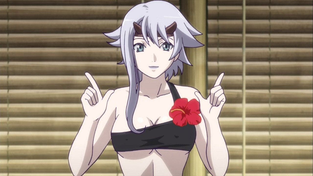 Queen's Blade backdrop