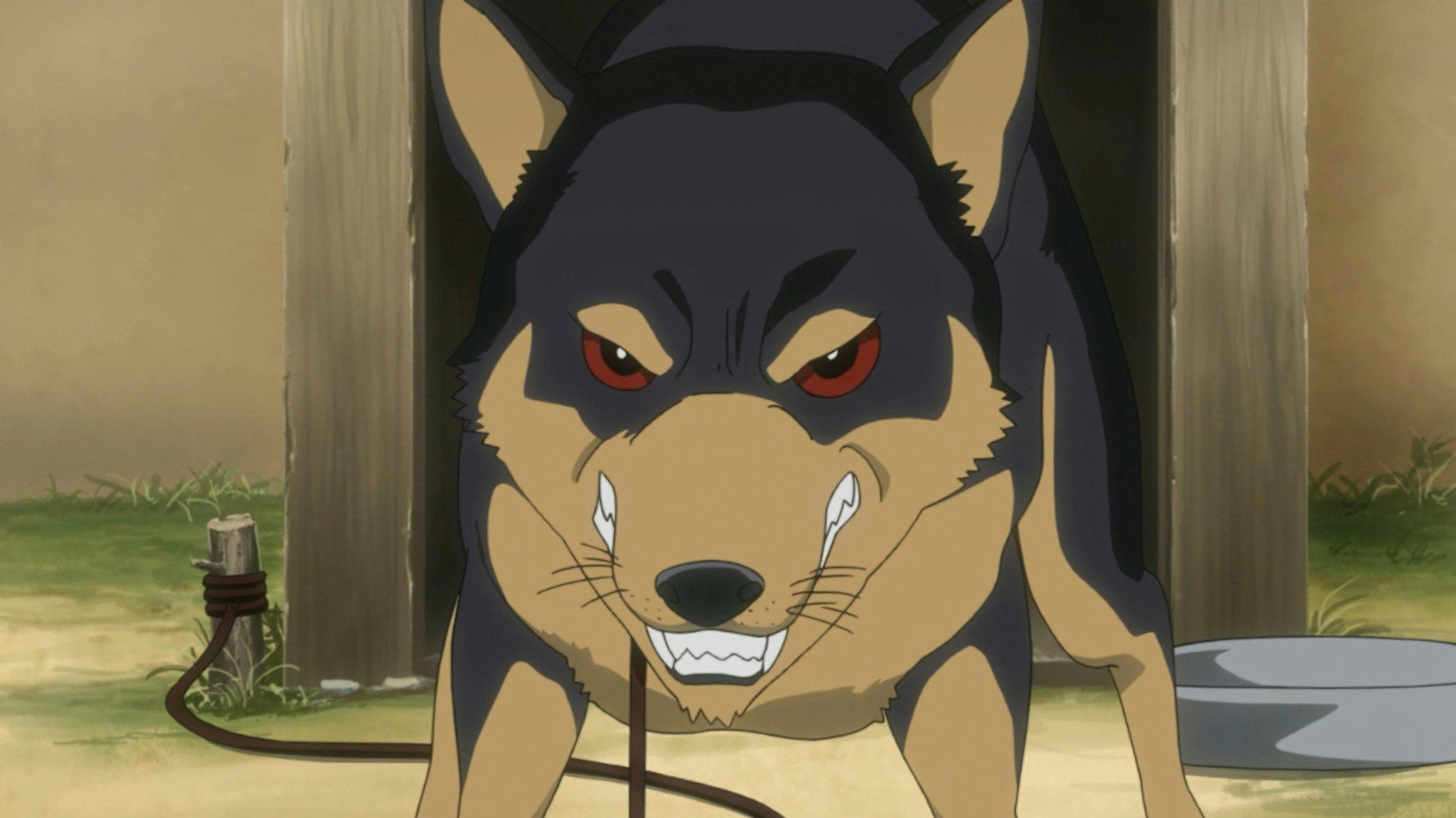 Nyan Koi! - episódio 1x2