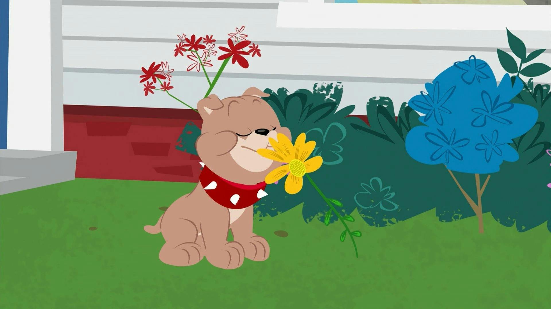 O Show de Tom e Jerry - episódio 1x12