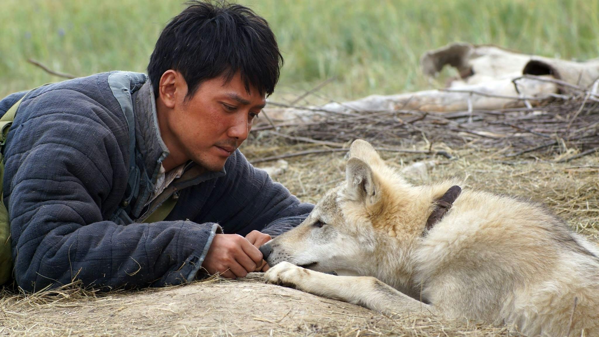 Espírito de Lobo backdrop