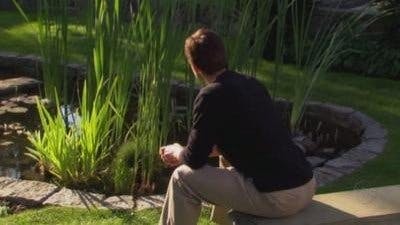 Kyle XY - episódio 1x10