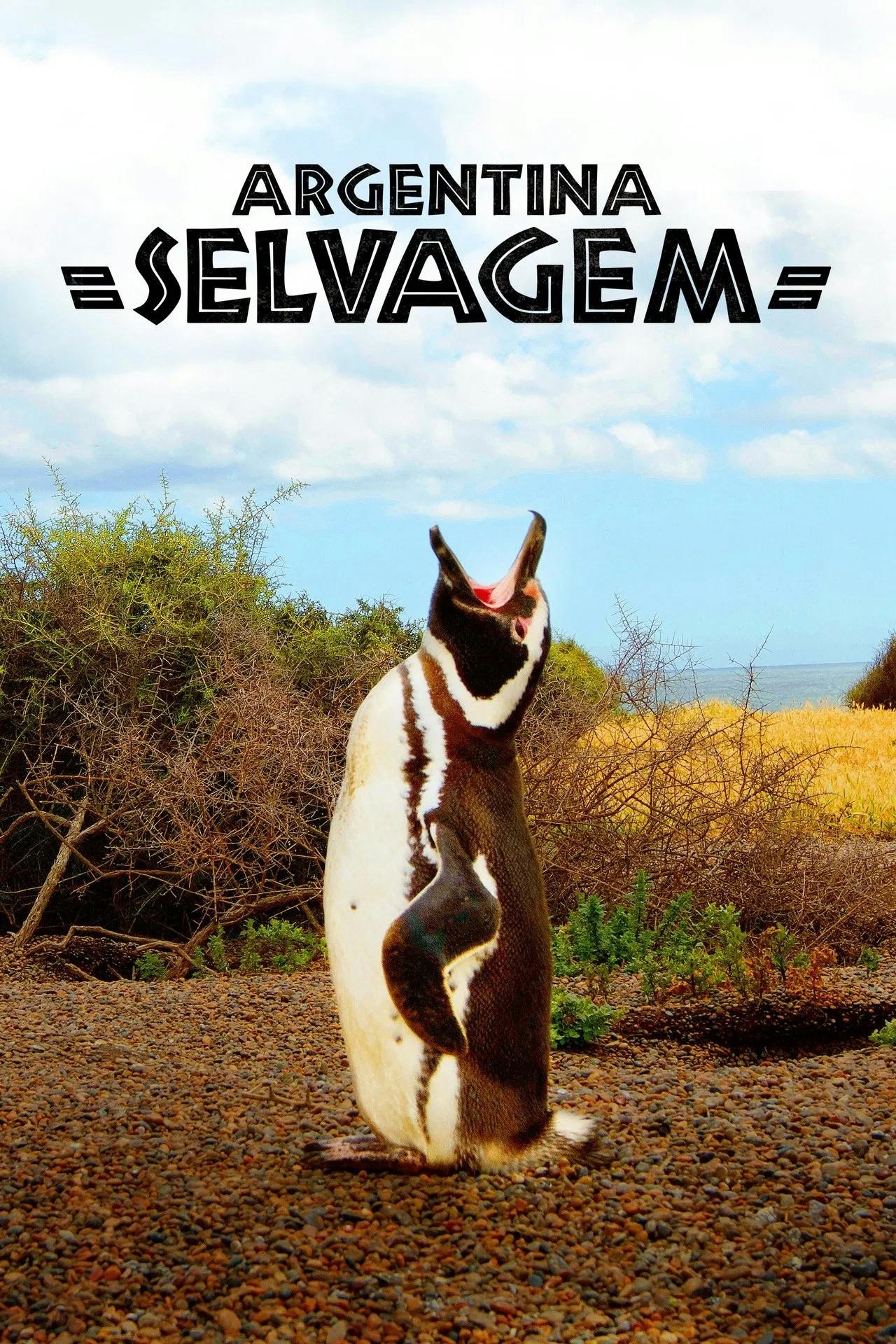 Argentina Selvagem poster