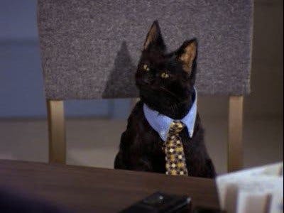 Sabrina, a Aprendiz de Feiticeira - episódio 1x22