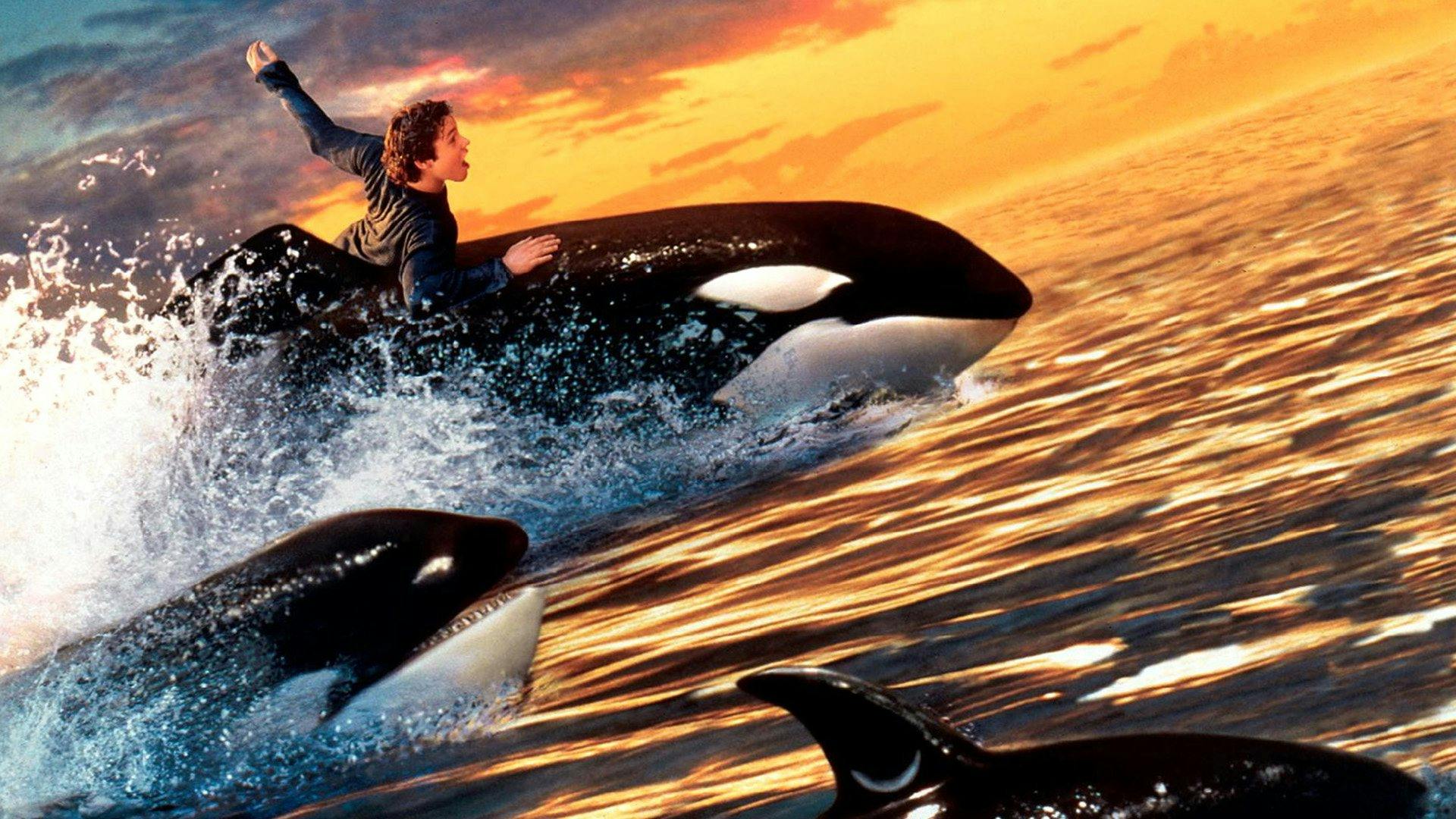 Free Willy 2 - A Aventura Continua backdrop
