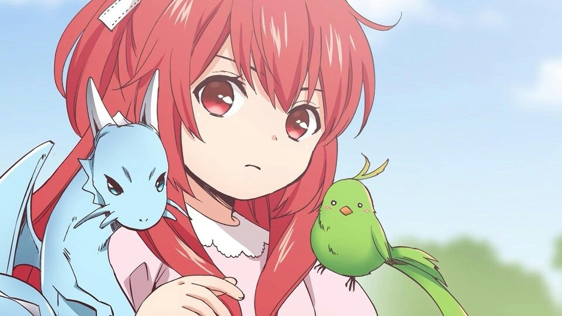 0-saiji Start Dash Monogatari - episódio 1x9