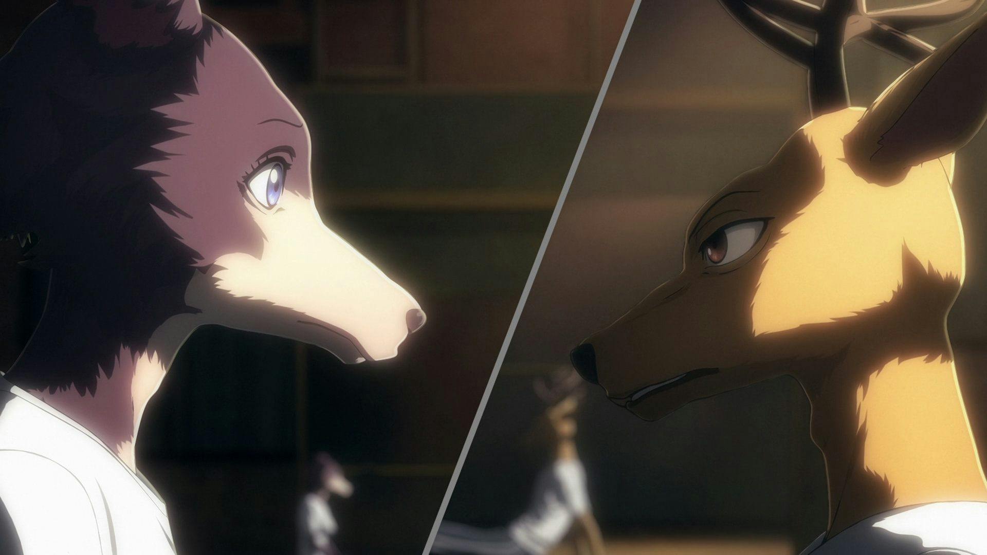 BEASTARS - O Lobo Bom - episódio 1x8
