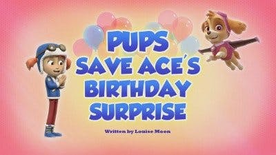 Os Filhotes Salvam o Aniversário Surpresa da Ace
