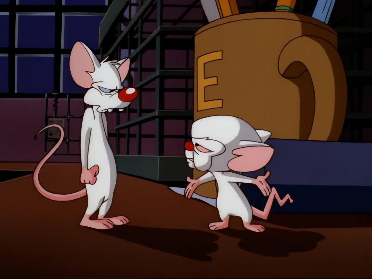 Pinky e o Cérebro