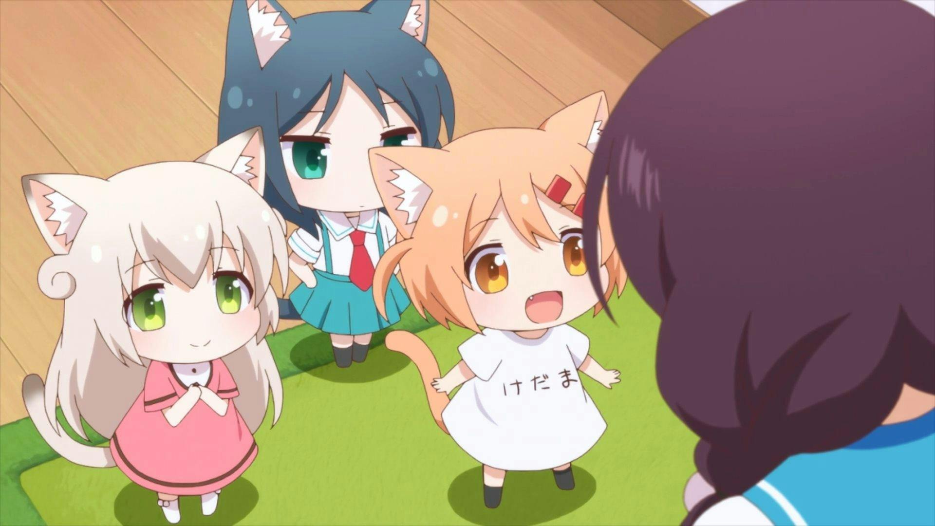 Nyanko Days - episódio 1x1