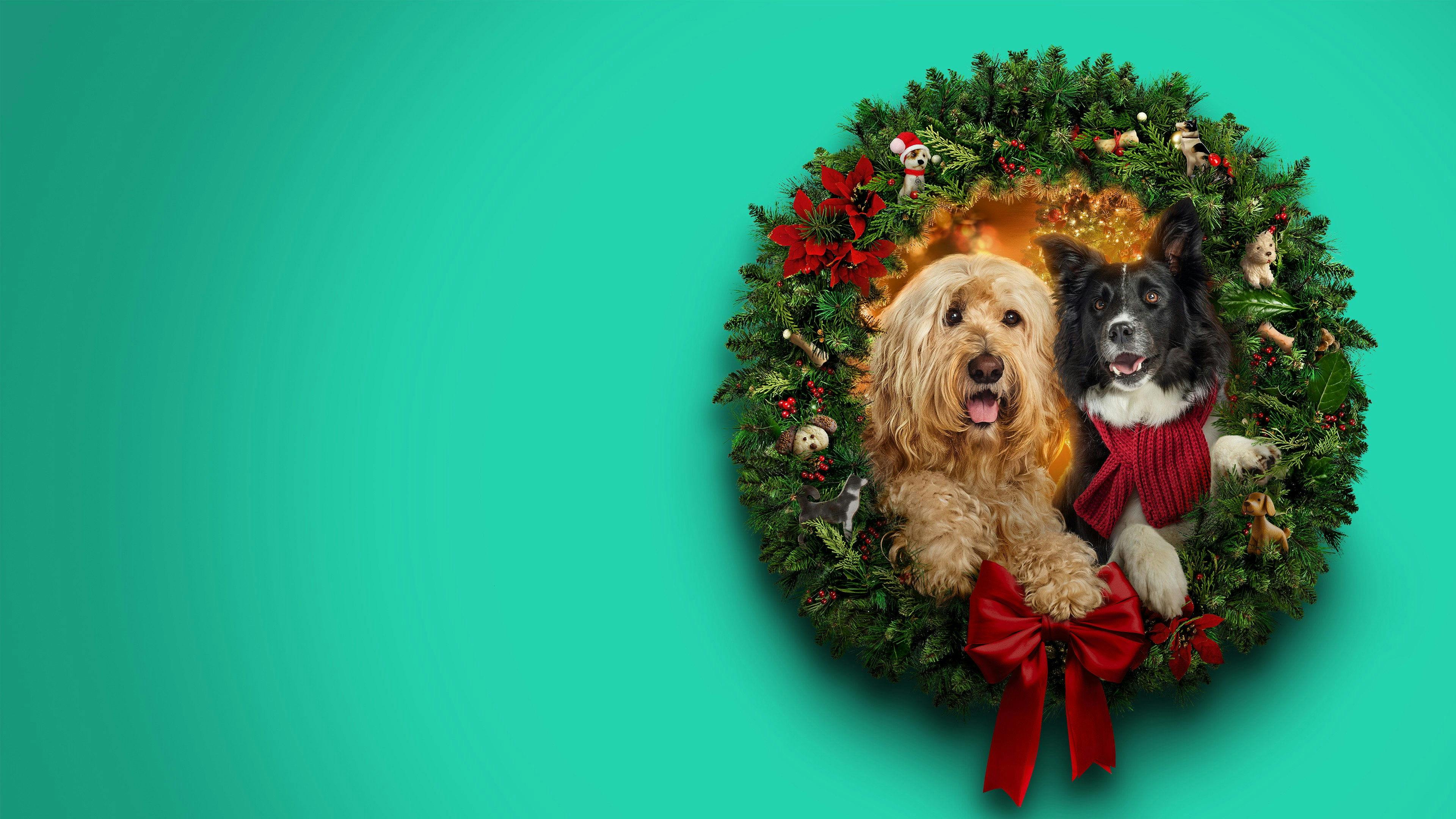 Happy Howlidays backdrop
