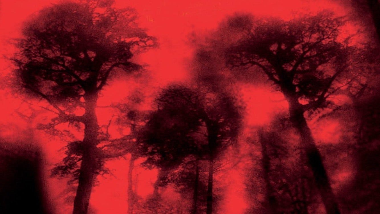 Cabana do Inferno backdrop