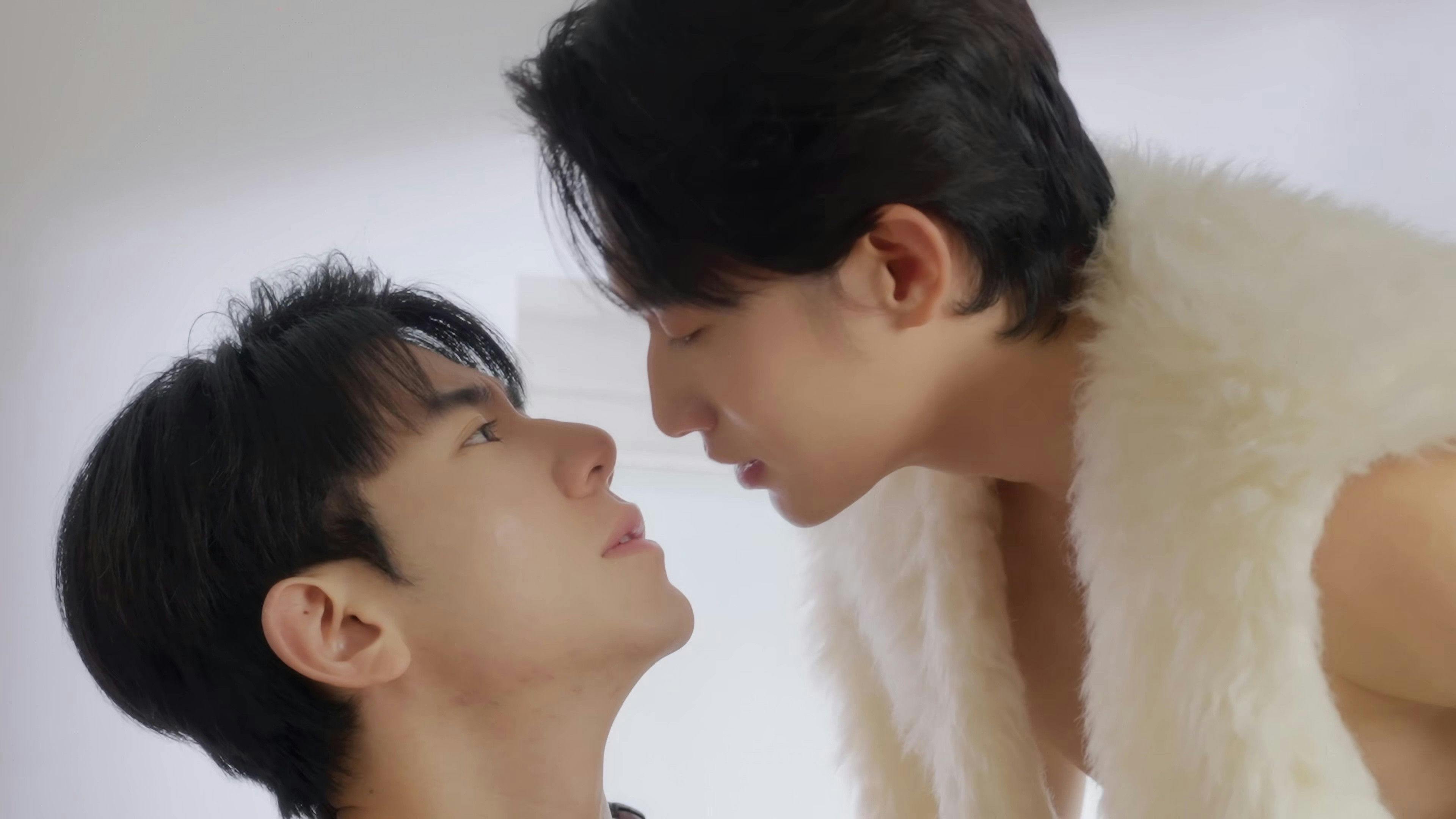 Maré do Amor backdrop