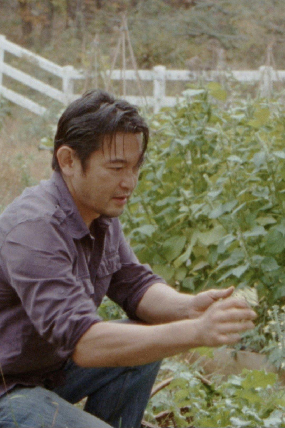 Little Fish backdrop