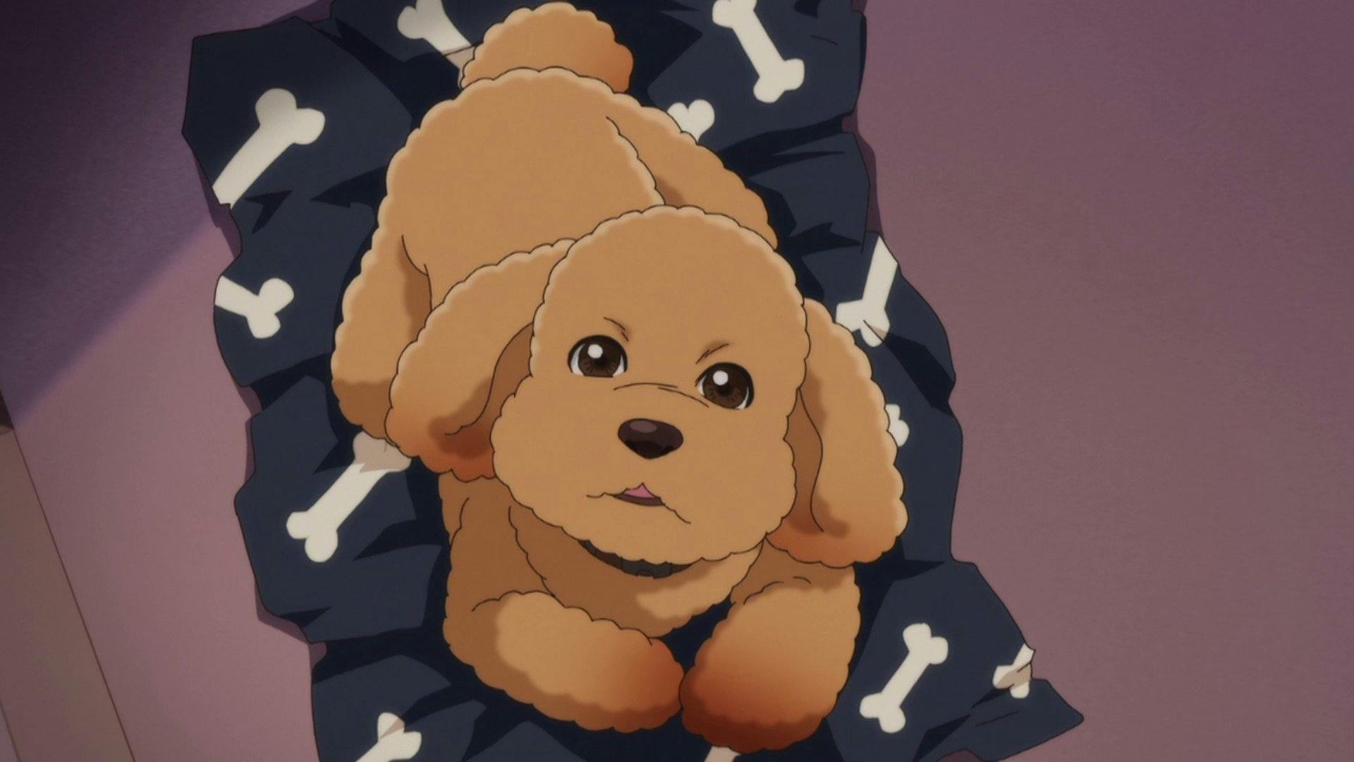 Dog Signal - episódio 1x20
