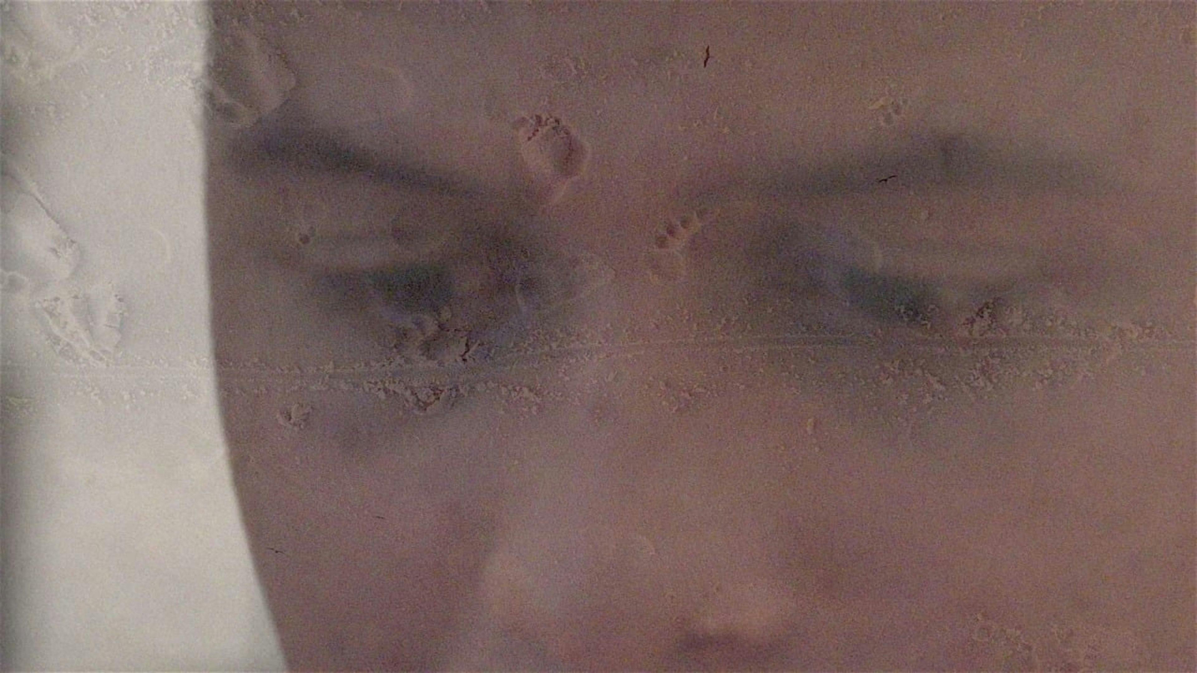 O Dia da Posse backdrop