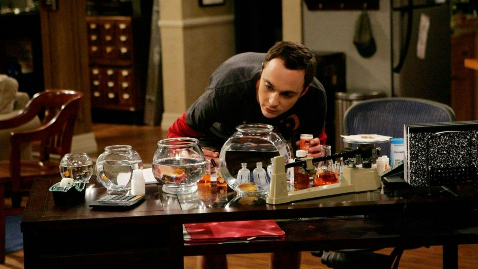 Big Bang: A Teoria - episódio 1x4